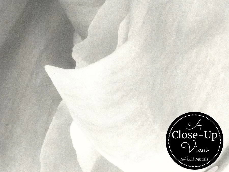 Black And White Peony Wallpaper 4 Black And White Peony Wallpaper - Image 4