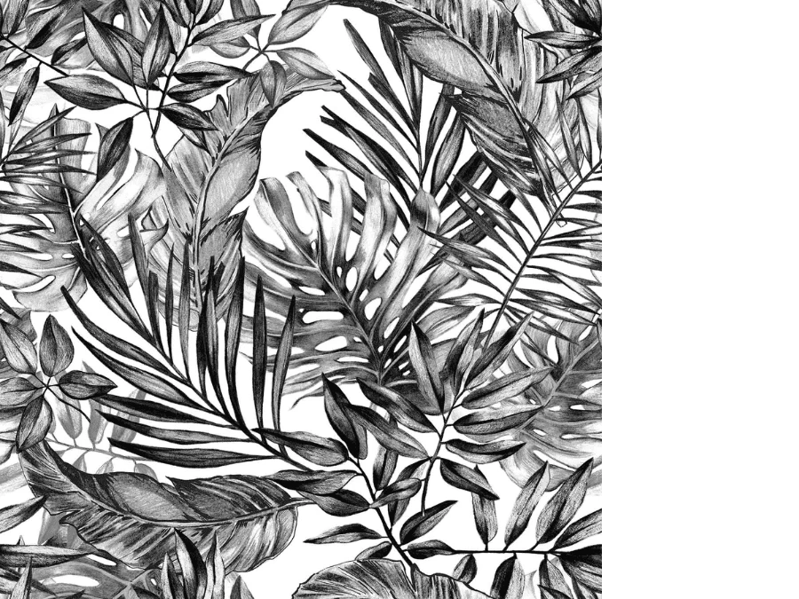 Black And White Tropical Wallpaper 2 Black And White Tropical Wallpaper - Image 2
