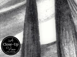 Black And White Tropical Wallpaper 6 Black And White Tropical Wallpaper -Wallpaper Mural Shop Black and White Tropical Wallpaper Close up About Murals