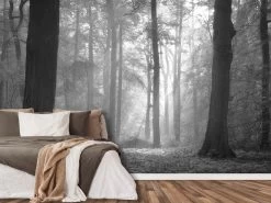 Black And White Woods Wallpaper