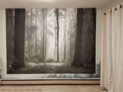 Black And White Woods Wallpaper 7 Black And White Woods Wallpaper -Wallpaper Mural Shop Black and White Woods Wallpaper Room About Murals