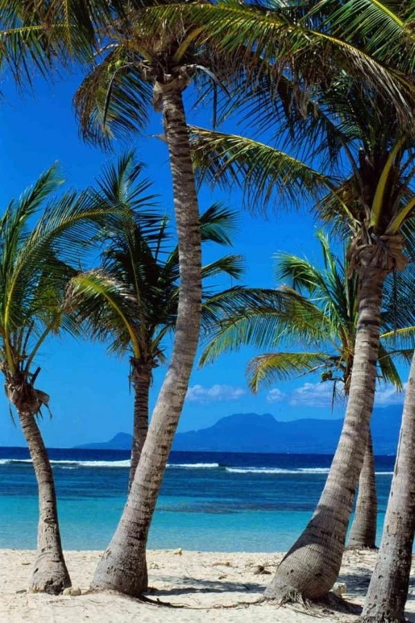 Blue Beach Wallpaper 2 Blue Beach Wallpaper - Image 2