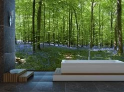 Bluebell Forest Wallpaper