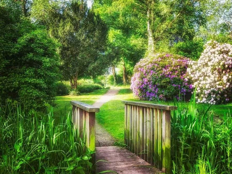 Botanical Garden Wallpaper 2 Botanical Garden Wallpaper - Image 2