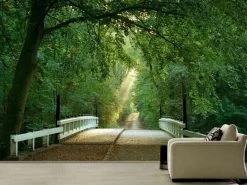 Bridge To The Forest Wall Mural