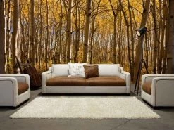 Brown Forest Wallpaper