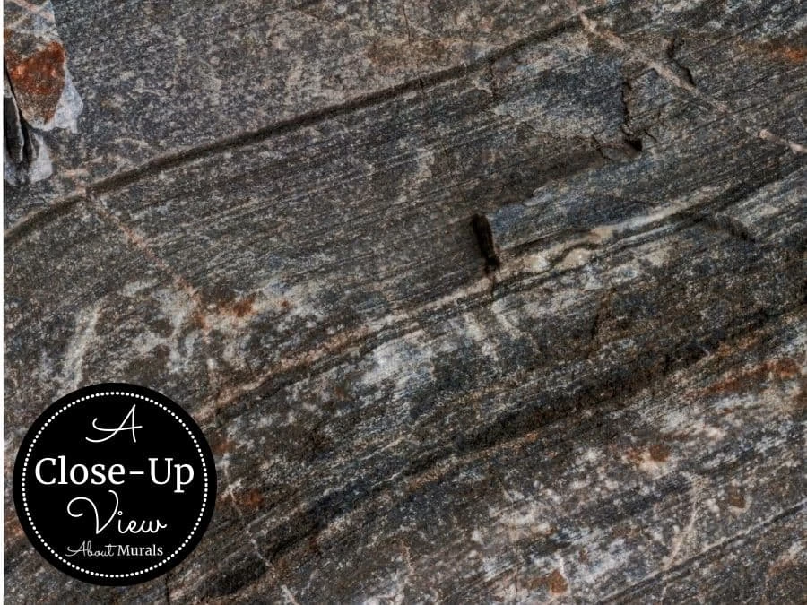 Canadian Shield Swirl Wall Mural 3 Canadian Shield Swirl Wall Mural - Image 3