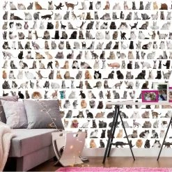 Cat Wall Mural