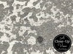 Cement Wallpaper 6 Cement Wallpaper -Wallpaper Mural Shop Cement Wallpaper Close up About Murals