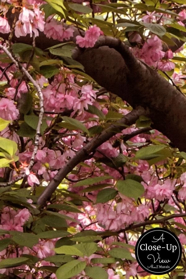 Cherry Blossom Tree Wallpaper 3 Cherry Blossom Tree Wallpaper - Image 3