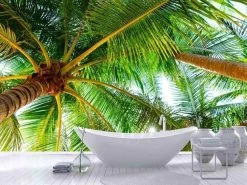 Coconut Tree Wallpaper