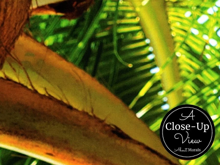 Coconut Tree Wallpaper 3 Coconut Tree Wallpaper - Image 3