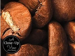 Coffee Beans Wallpaper -Wallpaper Mural Shop Coffee Beans Wallpaper Close up About Murals