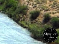 Colorado River Wallpaper -Wallpaper Mural Shop Colorado River Wallpaper Close up About Murals