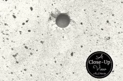 Concrete Wall Wallpaper -Wallpaper Mural Shop Concrete Wall Wallpaper Close up About Murals