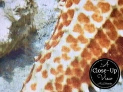 Coral Reef Wallpaper 6 Coral Reef Wallpaper -Wallpaper Mural Shop Coral Reef Wallpaper Close up About Murals