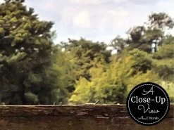 Country Fence Wallpaper 6 Country Fence Wallpaper -Wallpaper Mural Shop Country Fence Wallpaper Close up About Murals