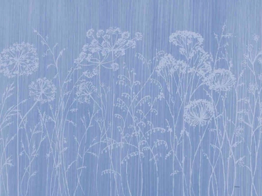 Cow Parsley Wallpaper 2 Cow Parsley Wallpaper - Image 2