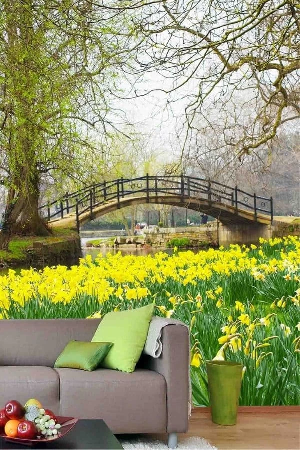 Daffodil Wallpaper 1 Daffodil Wallpaper