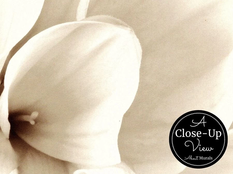 Dahlia Wallpaper 3 Dahlia Wallpaper - Image 3