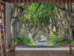 Dark Hedges Wallpaper