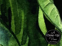 Dark Tropical Wallpaper -Wallpaper Mural Shop Dark Tropical Wallpaper Close up About Murals