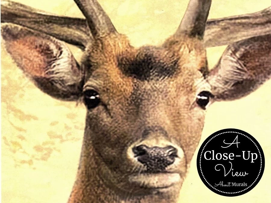 Deer Wallpaper 3 Deer Wallpaper - Image 3