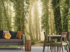 Dense Forest Wallpaper