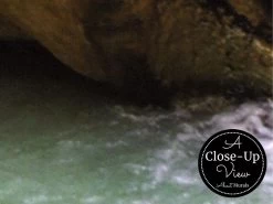 Desert Oasis Wallpaper -Wallpaper Mural Shop Desert Oasis Wallpaper Close up About Murals