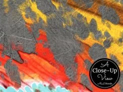 Discus Wallpaper 6 Discus Wallpaper -Wallpaper Mural Shop Discus Wallpaper Closeup About Murals