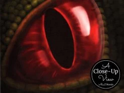 Dragon Wallpaper -Wallpaper Mural Shop Dragon Wallpaper Close up About Murals