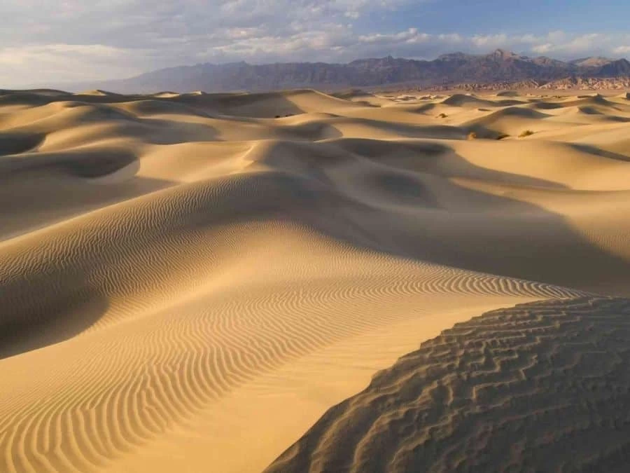 Dunes Wallpaper 2 Dunes Wallpaper - Image 2