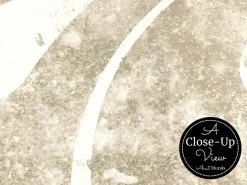 Elegant Swirl Wallpaper -Wallpaper Mural Shop Elegant Swirl Wallpaper Close up About Murals