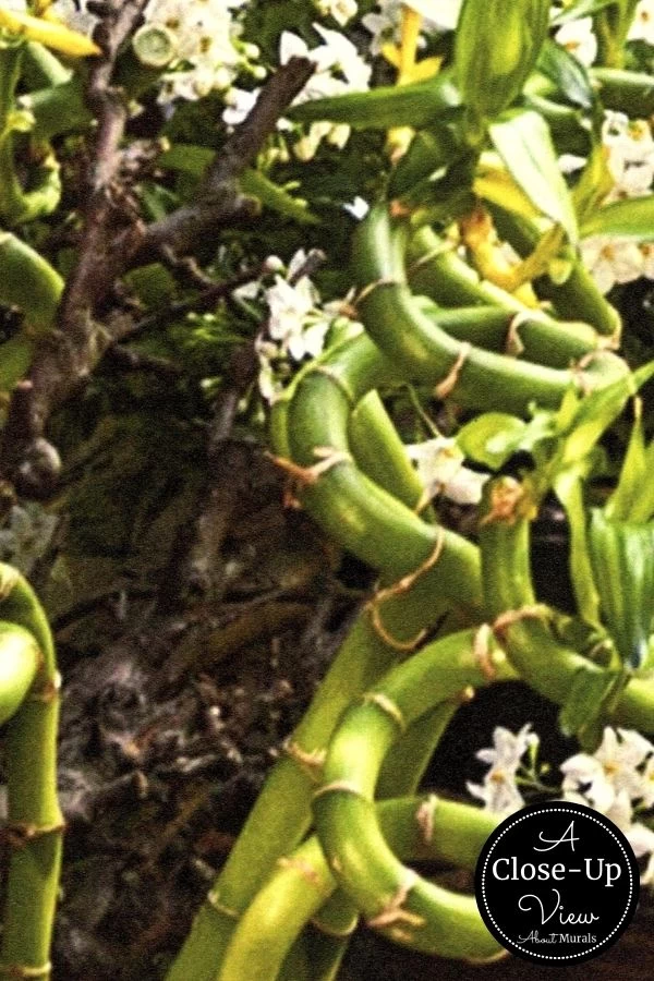 Europe Street Wallpaper 3 Europe Street Wallpaper - Image 3