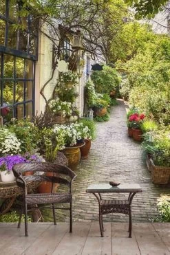 Europe Street Wallpaper