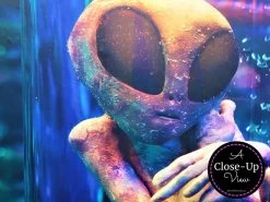 Extraterrestrial Wallpaper 8 Extraterrestrial Wallpaper -Wallpaper Mural Shop Extraterrestrial Wallpaper Closeup About Murals