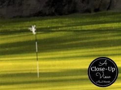 Fall Golf Wallpaper 6 Fall Golf Wallpaper -Wallpaper Mural Shop Fall Golf Wallpaper Close up About Murals