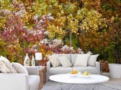 Fall Leaves Wallpaper