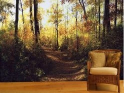 Fall Trees Wallpaper