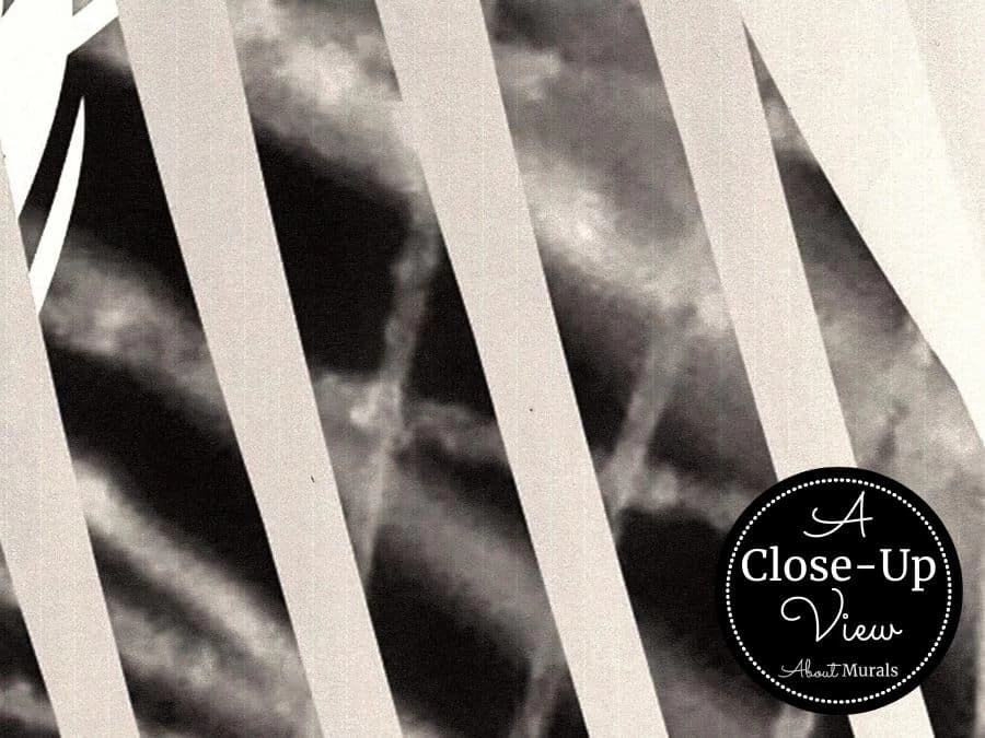 Feather Wallpaper 3 Feather Wallpaper - Image 3