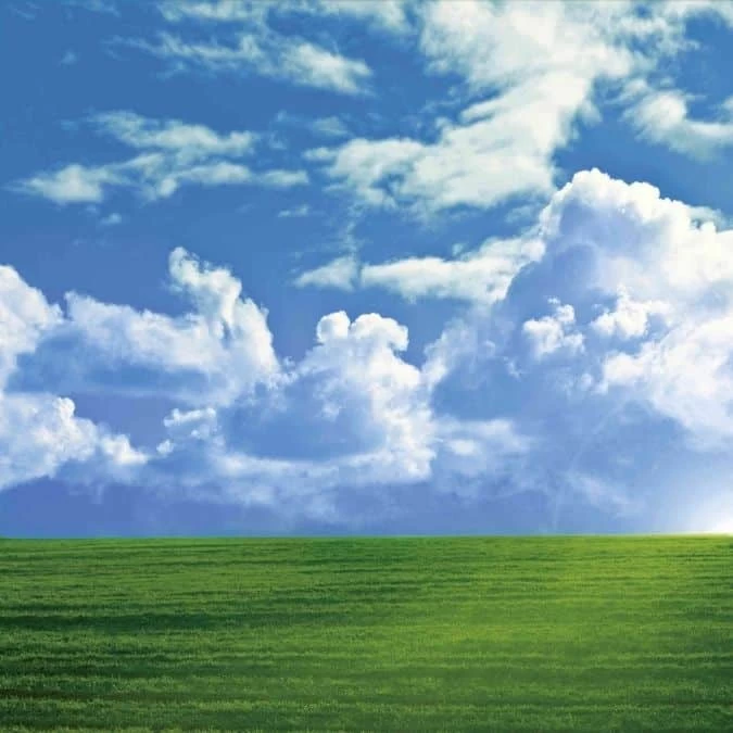 Field Wallpaper 2 Field Wallpaper - Image 2