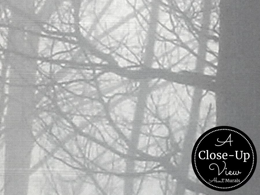 Fir Forest Wallpaper 3 Fir Forest Wallpaper - Image 3