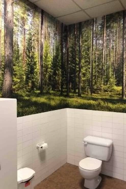 Fir Wallpaper -Wallpaper Mural Shop Fir Wallpaper Forest Themed Bathroom About Murals