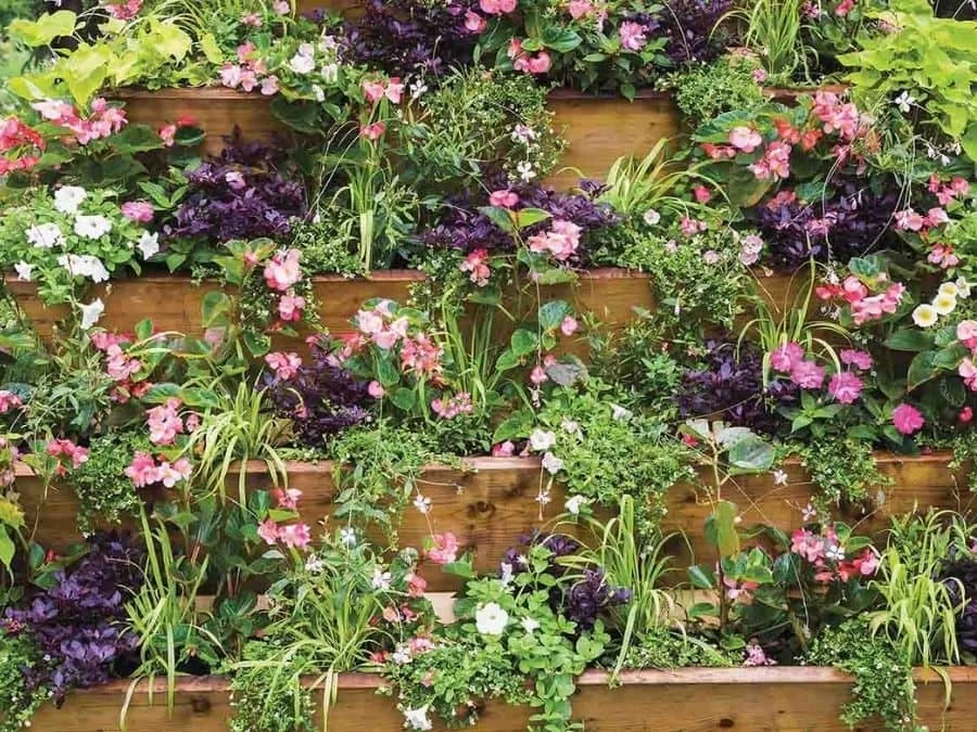 Flower Market Wallpaper 2 Flower Market Wallpaper - Image 2