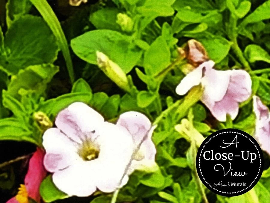 Flower Market Wallpaper 3 Flower Market Wallpaper - Image 3