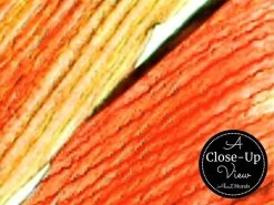 Flower Petal Wallpaper 6 Flower Petal Wallpaper -Wallpaper Mural Shop Flower Petal Wallpaper Close up About Murals