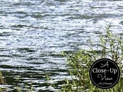 Flowing River Wallpaper 6 Flowing River Wallpaper -Wallpaper Mural Shop Flowing River Wallpaper Close up About Murals