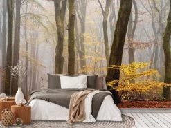 Foggy Fall Wallpaper 9 Foggy Fall Wallpaper -Wallpaper Mural Shop Foggy Fall Wallpaper Bedroom About Murals