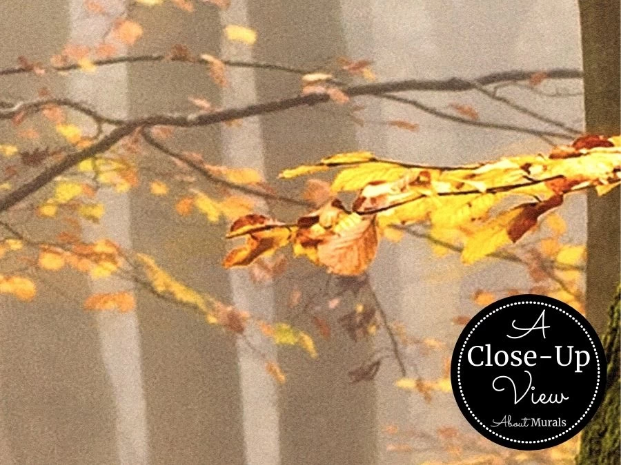 Foggy Fall Wallpaper 3 Foggy Fall Wallpaper - Image 3