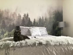 Foggy Forest Wallpaper -Wallpaper Mural Shop Foggy Forest Wallpaper Master Bedroom About Murals